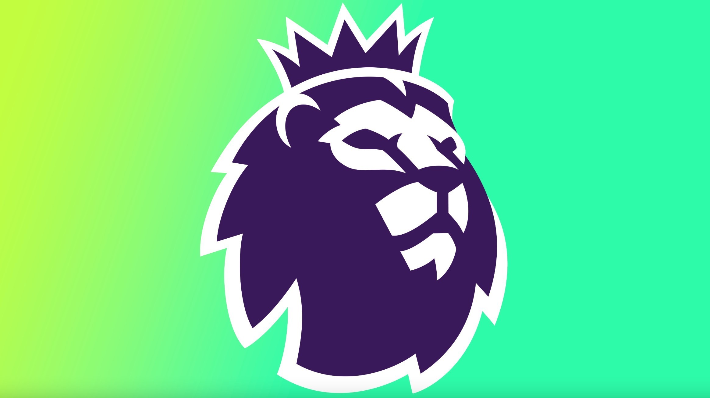 实力雄厚的 实力雄厚的