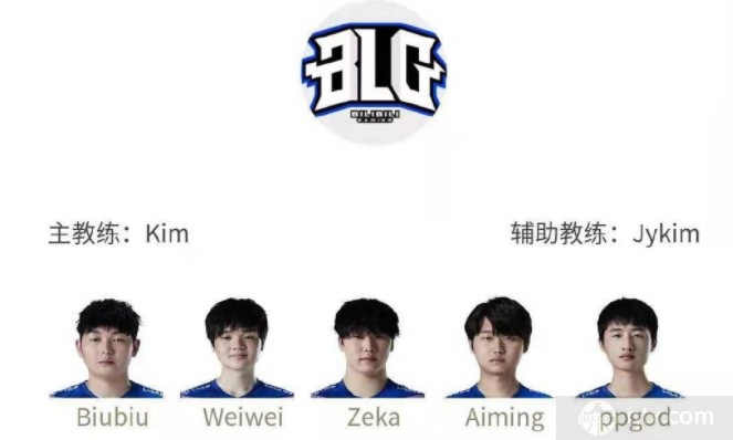 众多荣誉 众多荣誉